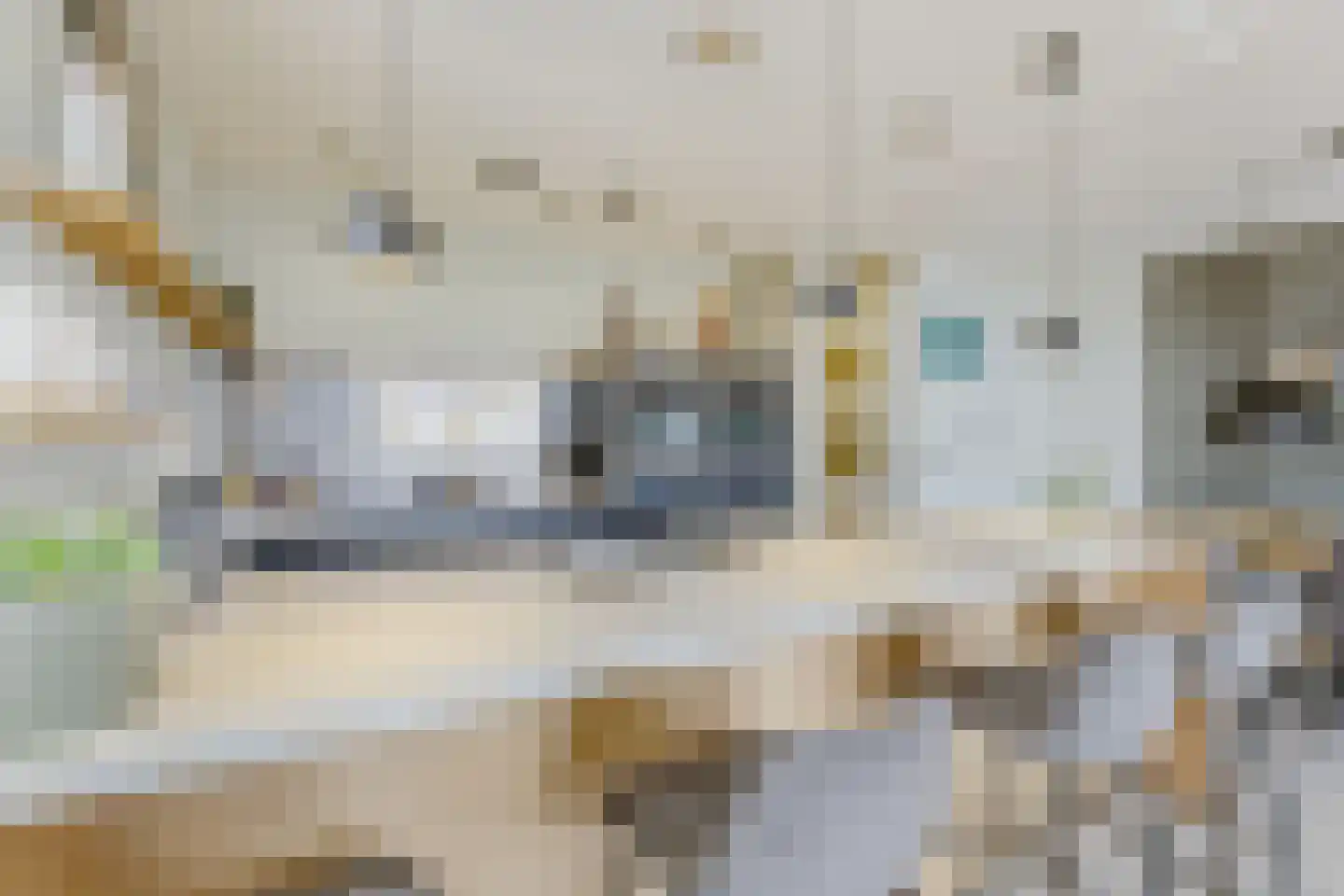 Witte Ring 11 E Assendelft thumbnail 12