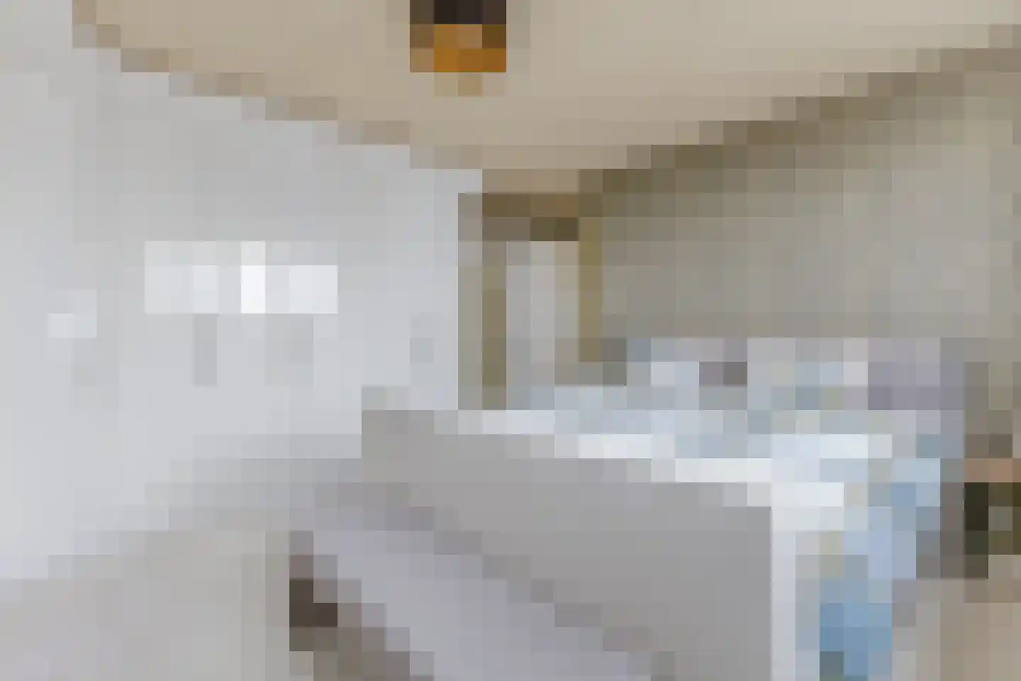 Witte Ring 11 E Assendelft thumbnail 20