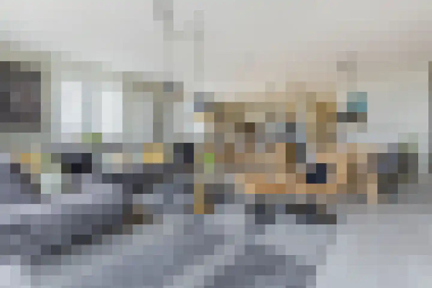 Witte Ring 11 E Assendelft thumbnail 5