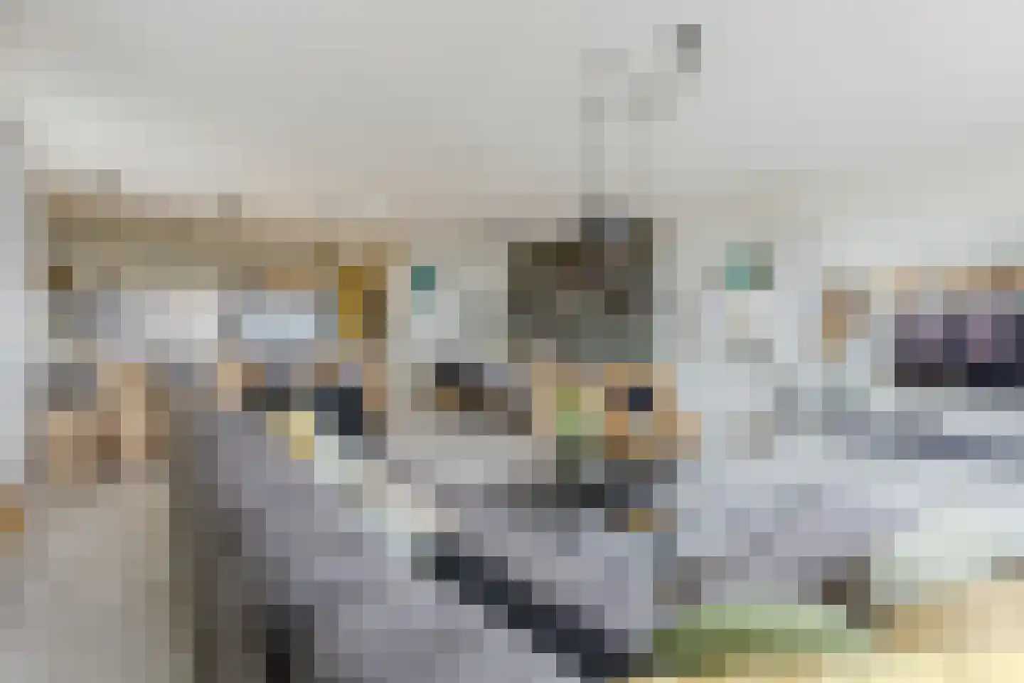 Witte Ring 11 E Assendelft thumbnail 6