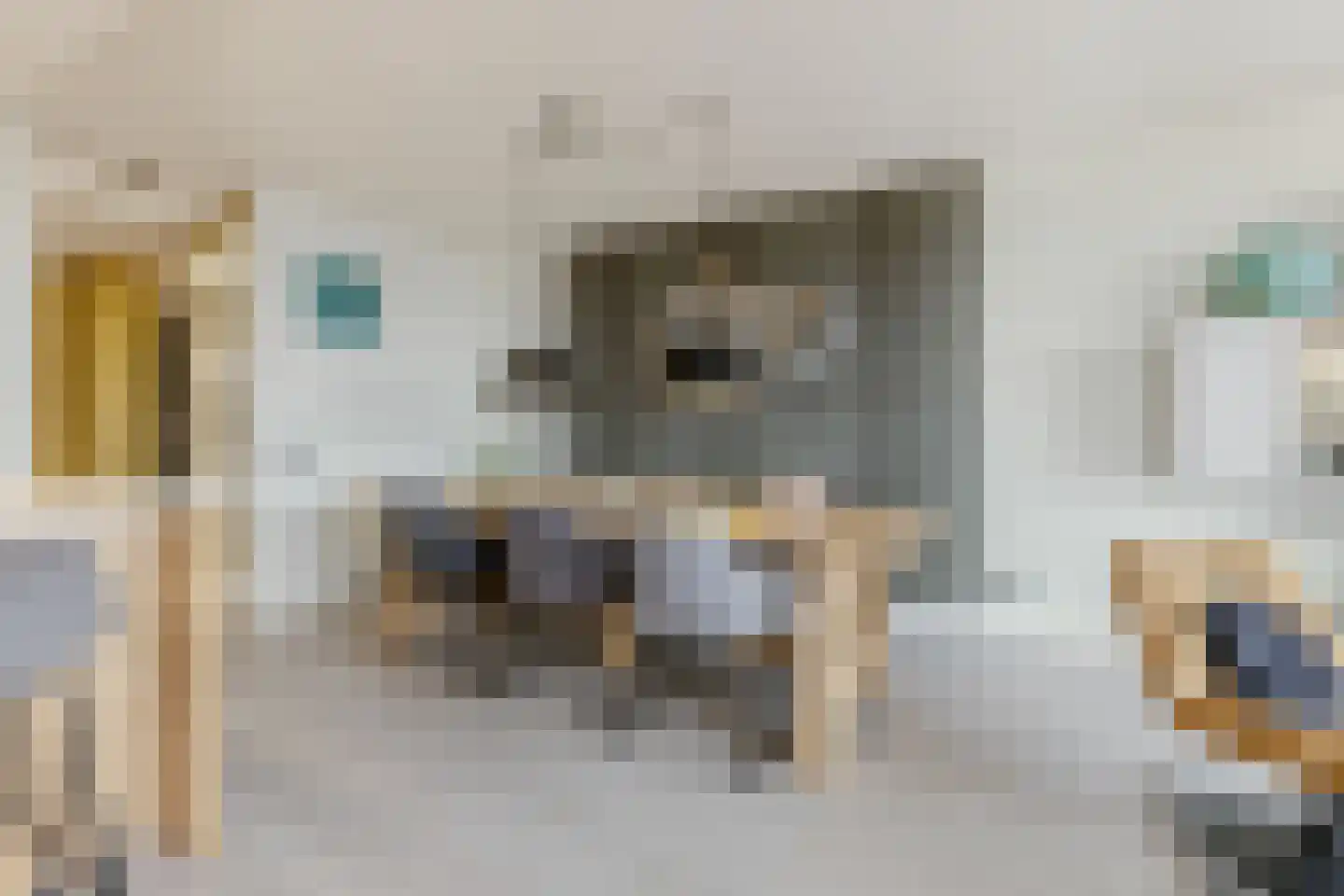 Witte Ring 11 E Assendelft thumbnail 7
