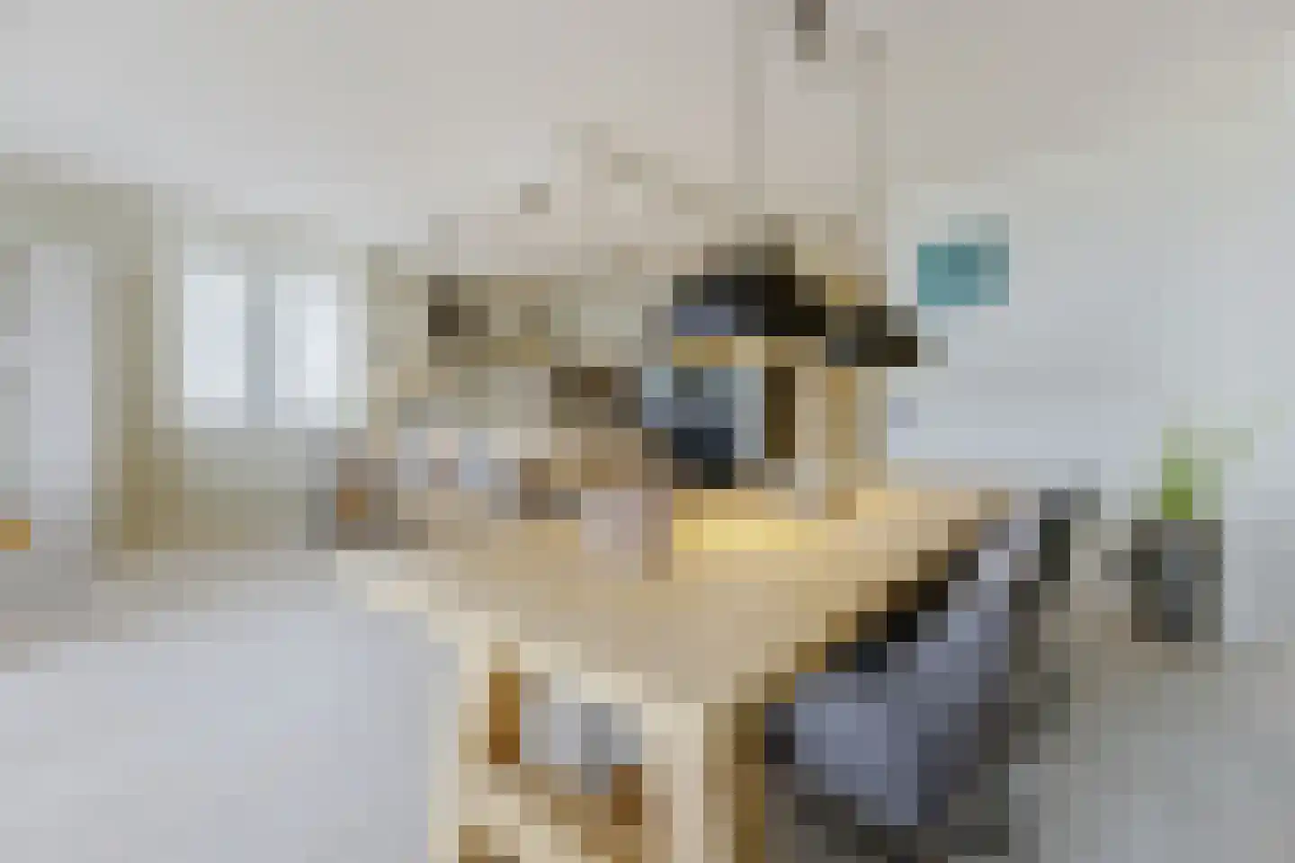 Witte Ring 11 E Assendelft thumbnail 8