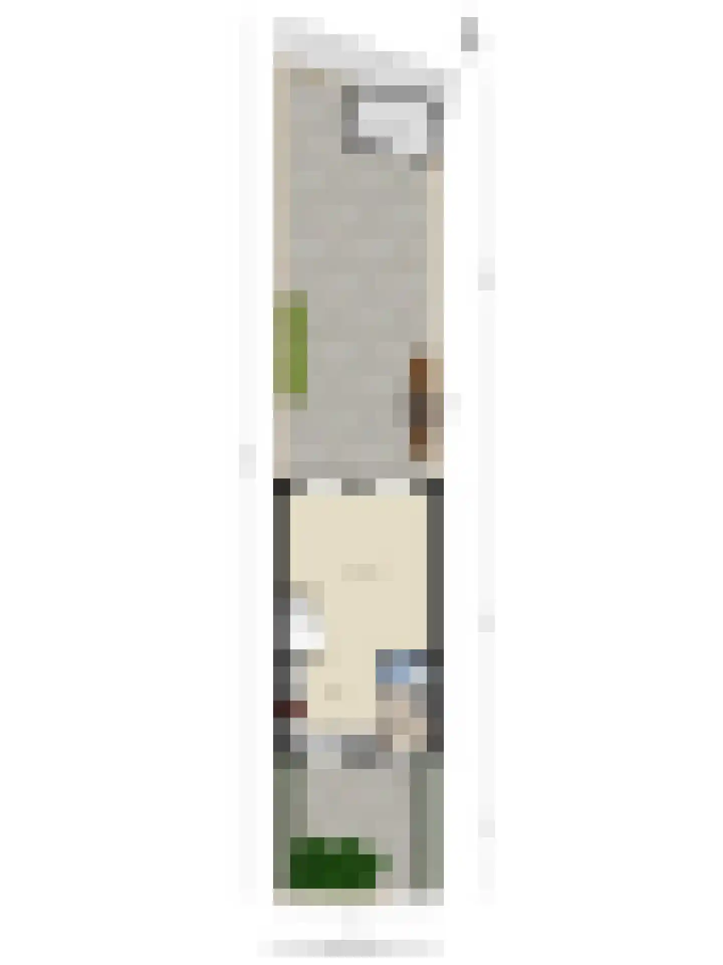 Witte Ring 12 Assendelft thumbnail 30