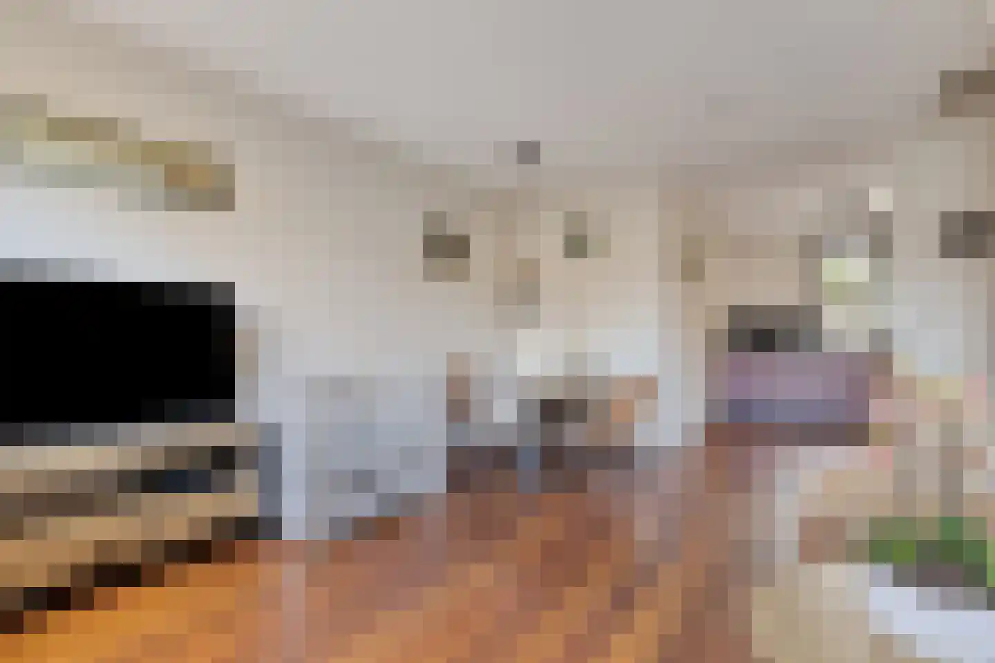 Witte Ring 12 Assendelft thumbnail 6