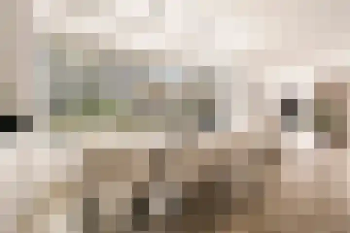 Witte Ring 123 Assendelft thumbnail 14