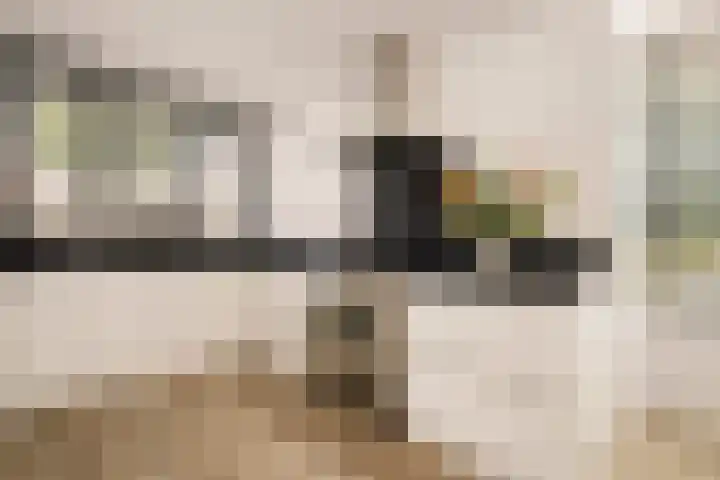 Witte Ring 123 Assendelft thumbnail 16