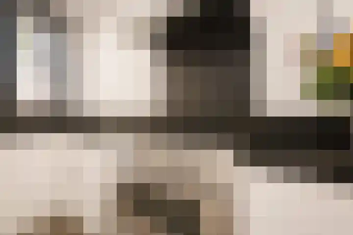 Witte Ring 123 Assendelft thumbnail 17