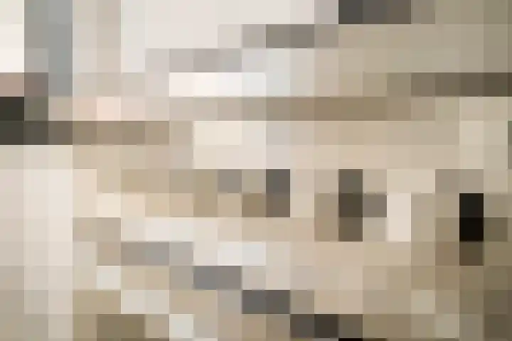 Witte Ring 123 Assendelft thumbnail 18