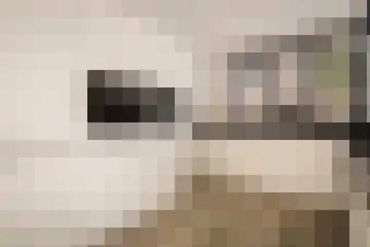 Witte Ring 123 Assendelft thumbnail 19