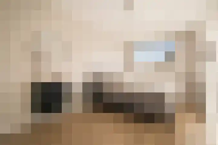 Witte Ring 123 Assendelft thumbnail 26