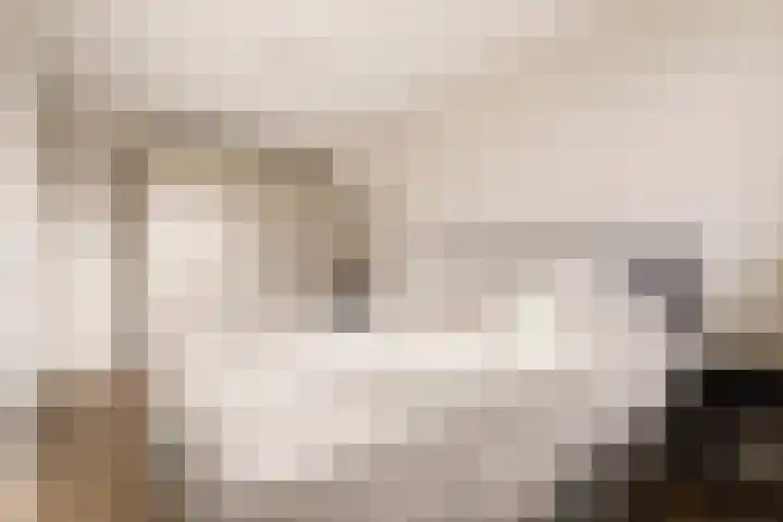 Witte Ring 123 Assendelft thumbnail 28