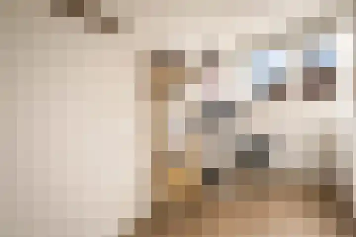 Witte Ring 123 Assendelft thumbnail 29