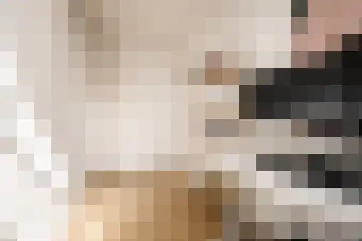 Witte Ring 123 Assendelft thumbnail 30