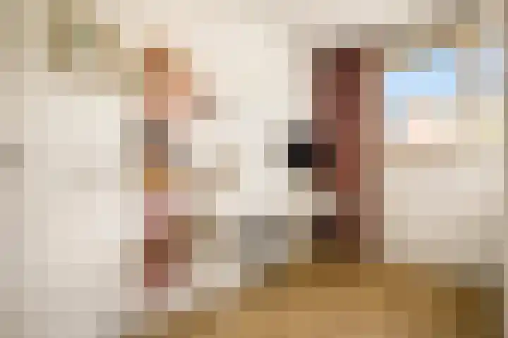 Witte Ring 123 Assendelft thumbnail 32