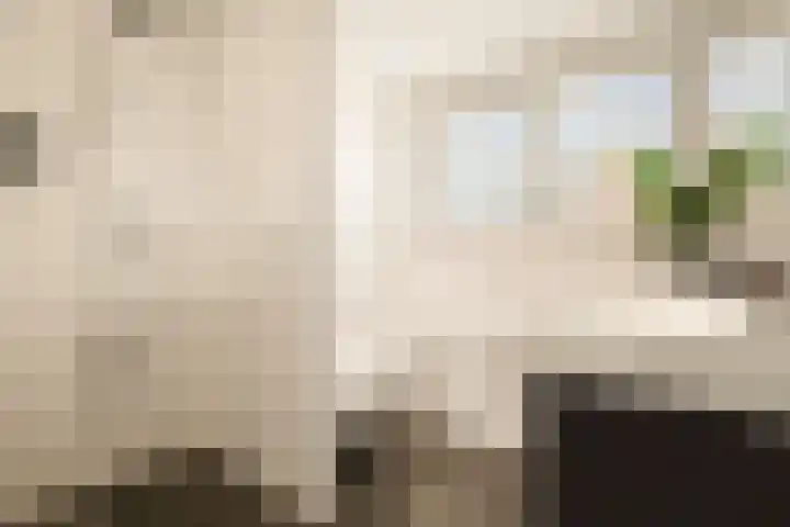 Witte Ring 123 Assendelft thumbnail 34