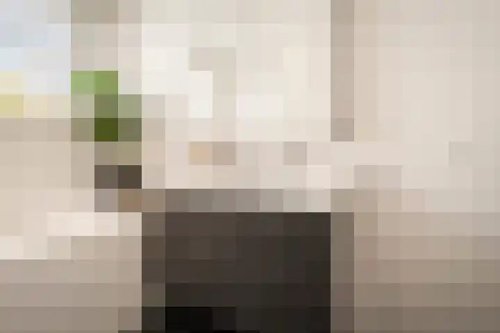 Witte Ring 123 Assendelft thumbnail 35