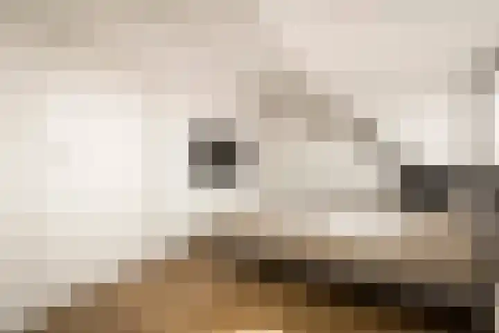 Witte Ring 123 Assendelft thumbnail 40