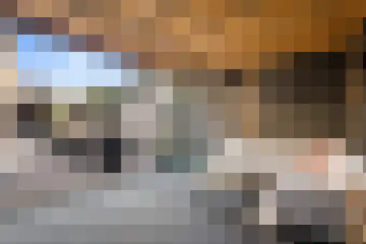 Witte Ring 123 Assendelft thumbnail 48