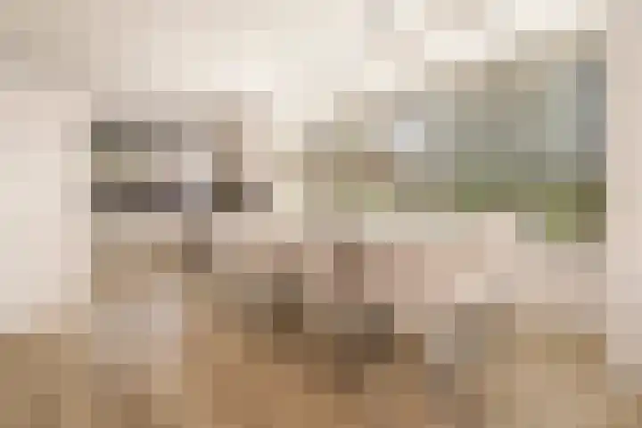 Witte Ring 123 Assendelft thumbnail 6