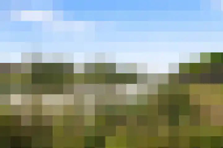 Witte Ring 123 Assendelft thumbnail 63