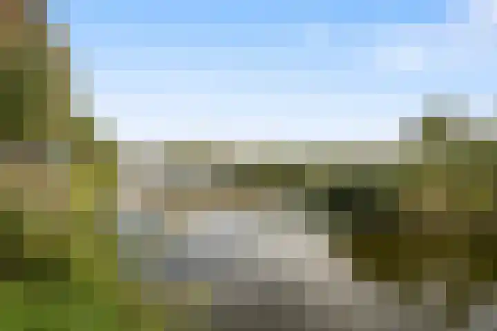 Witte Ring 123 Assendelft thumbnail 64