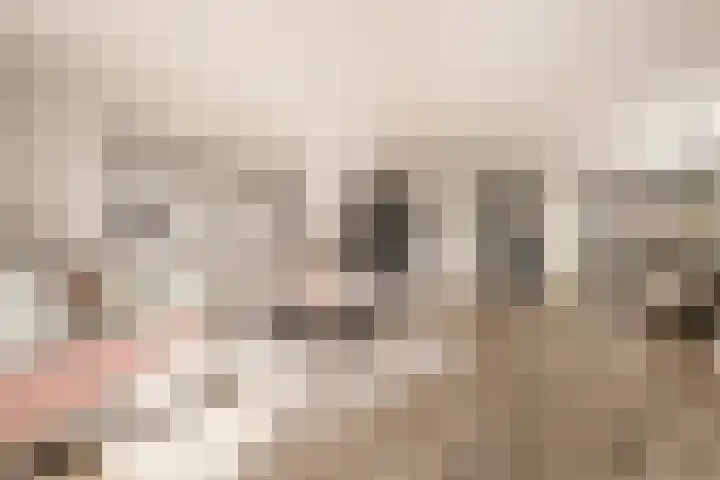 Witte Ring 123 Assendelft thumbnail 8
