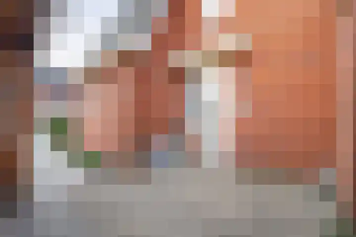 Witte Ring 16 Assendelft thumbnail 10