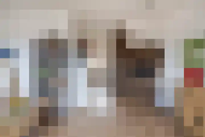 Witte Ring 16 Assendelft thumbnail 15