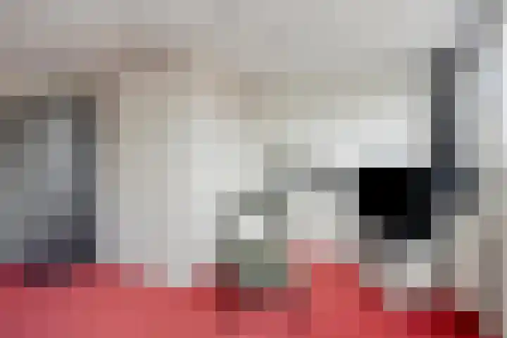 Witte Ring 16 Assendelft thumbnail 17