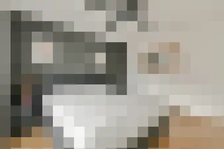 Witte Ring 16 Assendelft thumbnail 21