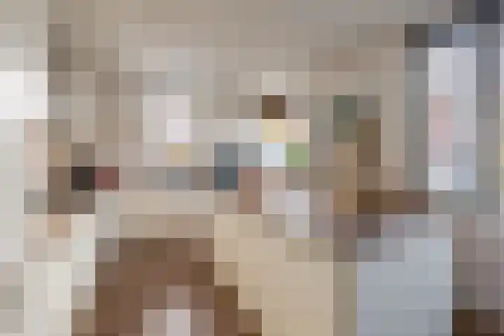 Witte Ring 16 Assendelft thumbnail 22