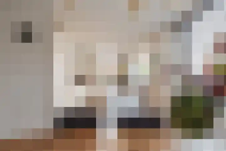 Witte Ring 16 Assendelft foto 3