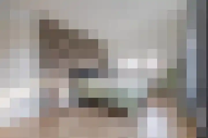 Witte Ring 16 Assendelft thumbnail 4