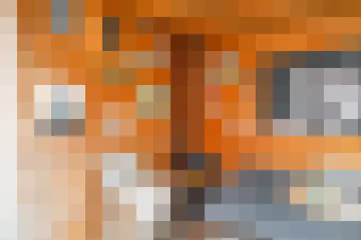 Witte Ring 16 Assendelft thumbnail 49
