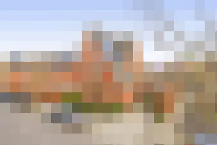 Witte Ring 16 Assendelft thumbnail 5