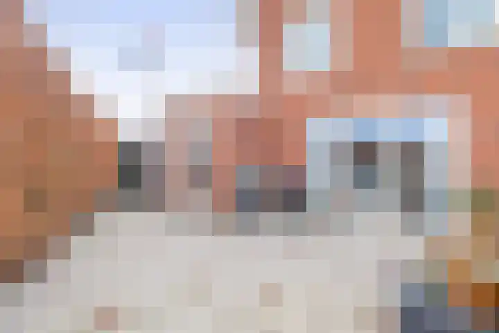 Witte Ring 16 Assendelft thumbnail 54