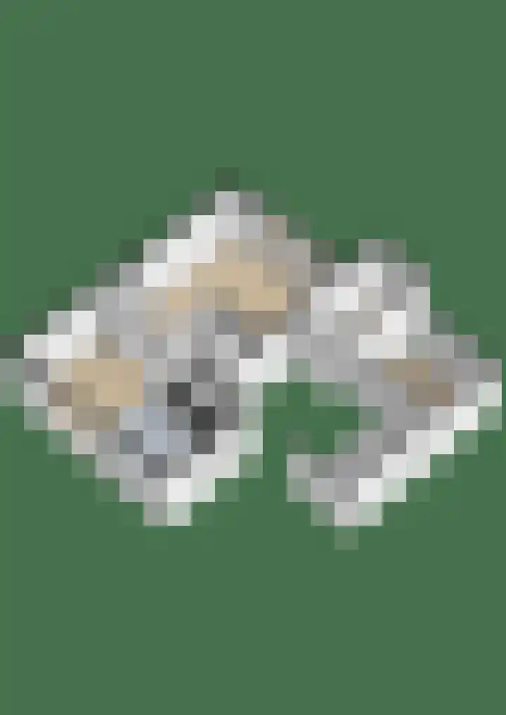 Witte Ring 16 Assendelft thumbnail 57