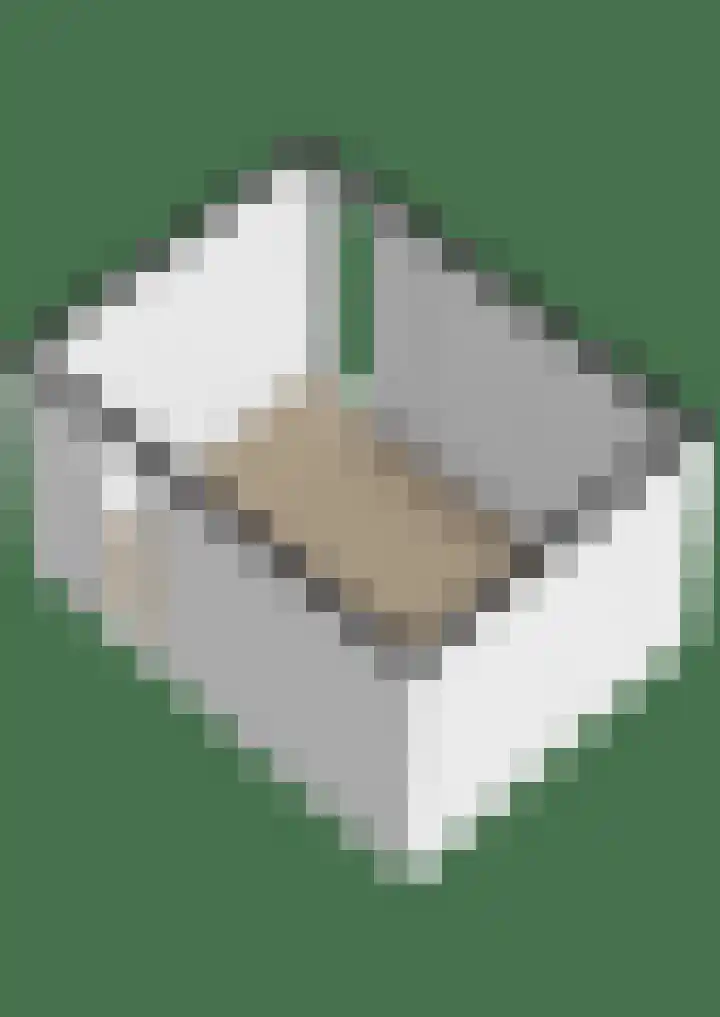 Witte Ring 16 Assendelft thumbnail 59