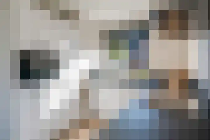 Witte Ring 16 Assendelft thumbnail 62