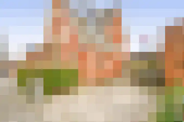 Witte Ring 16 Assendelft thumbnail 7