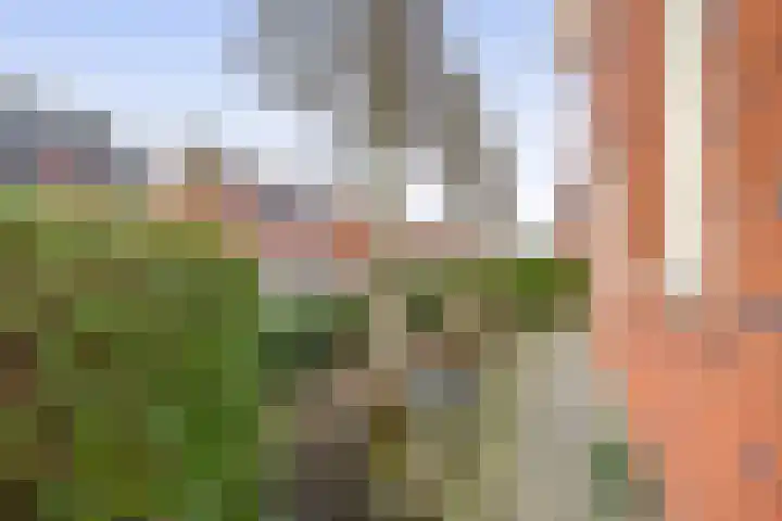 Witte Ring 16 Assendelft thumbnail 8