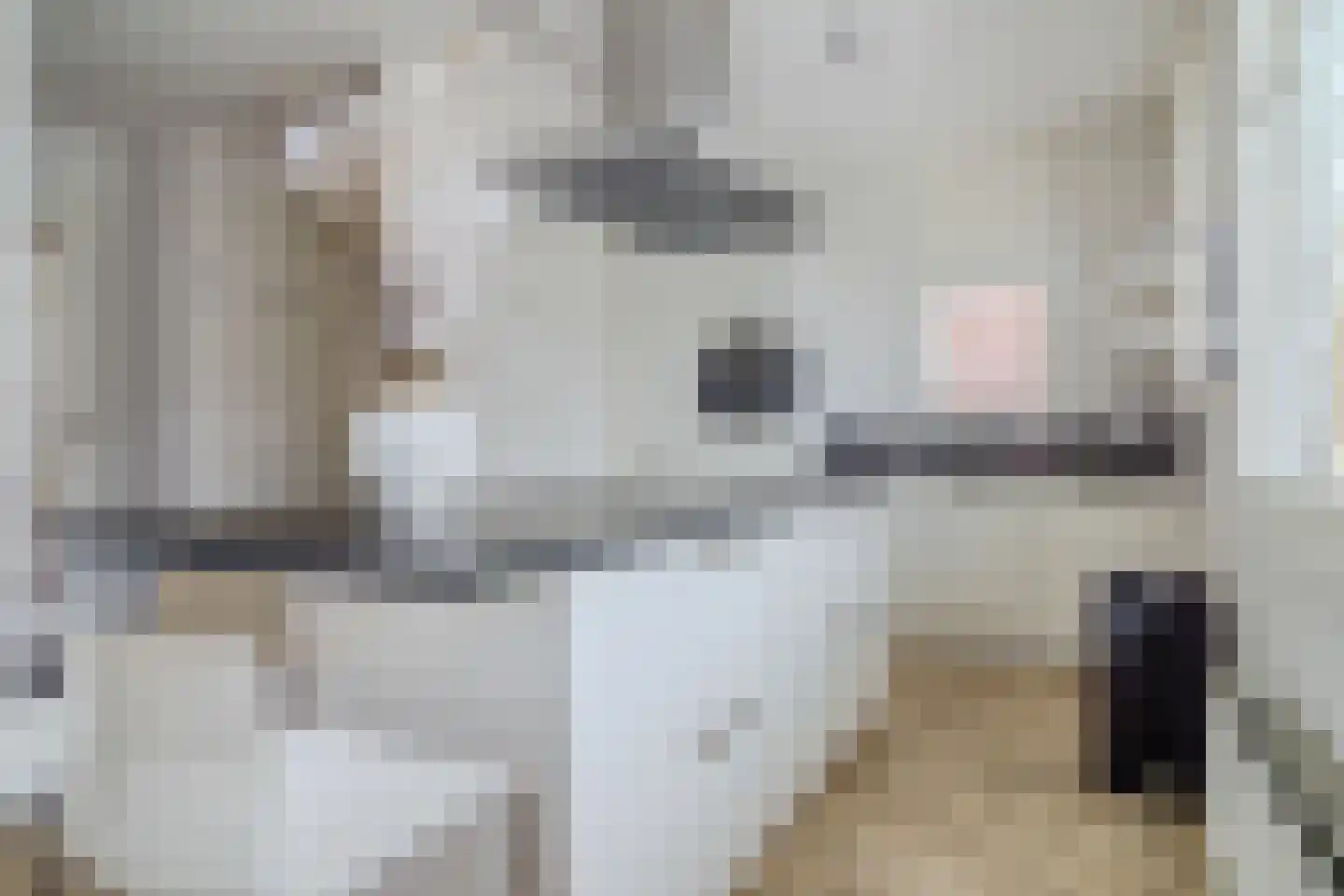 Witte Ring 33 Assendelft thumbnail 20