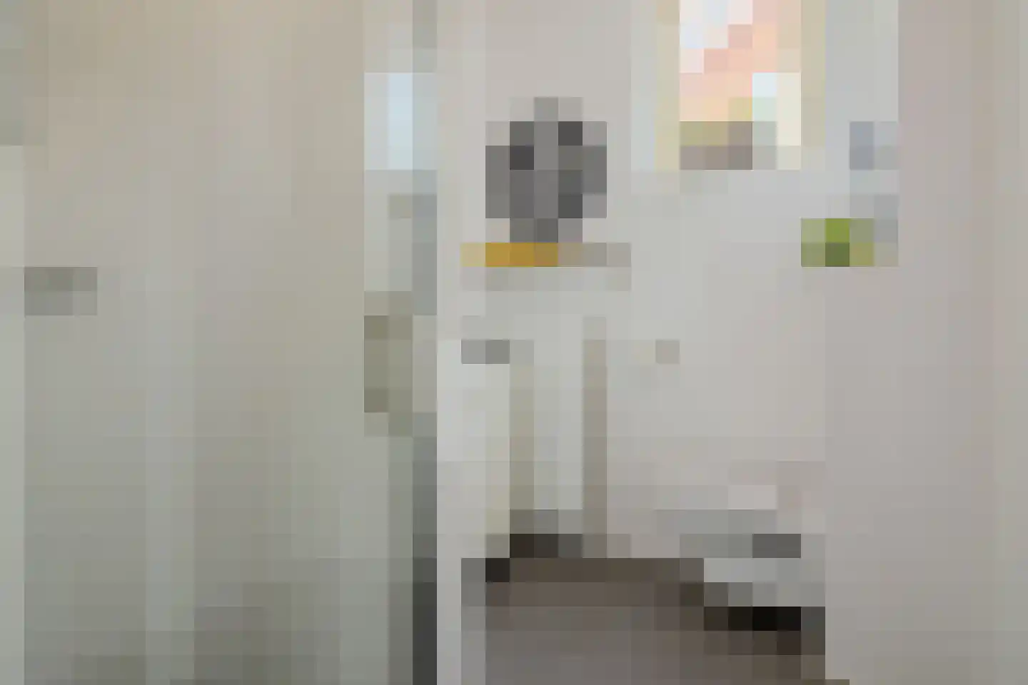 Witte Ring 33 Assendelft thumbnail 22