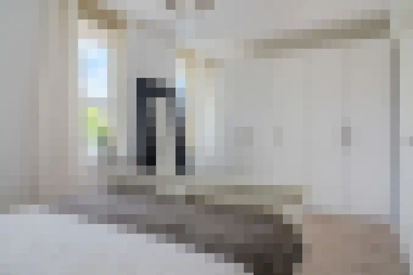 Witte Ring 33 Assendelft thumbnail 26