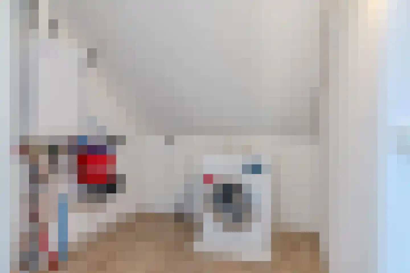 Witte Ring 33 Assendelft thumbnail 27