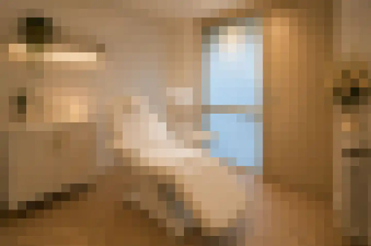 Witte Ring 33 Assendelft thumbnail 34
