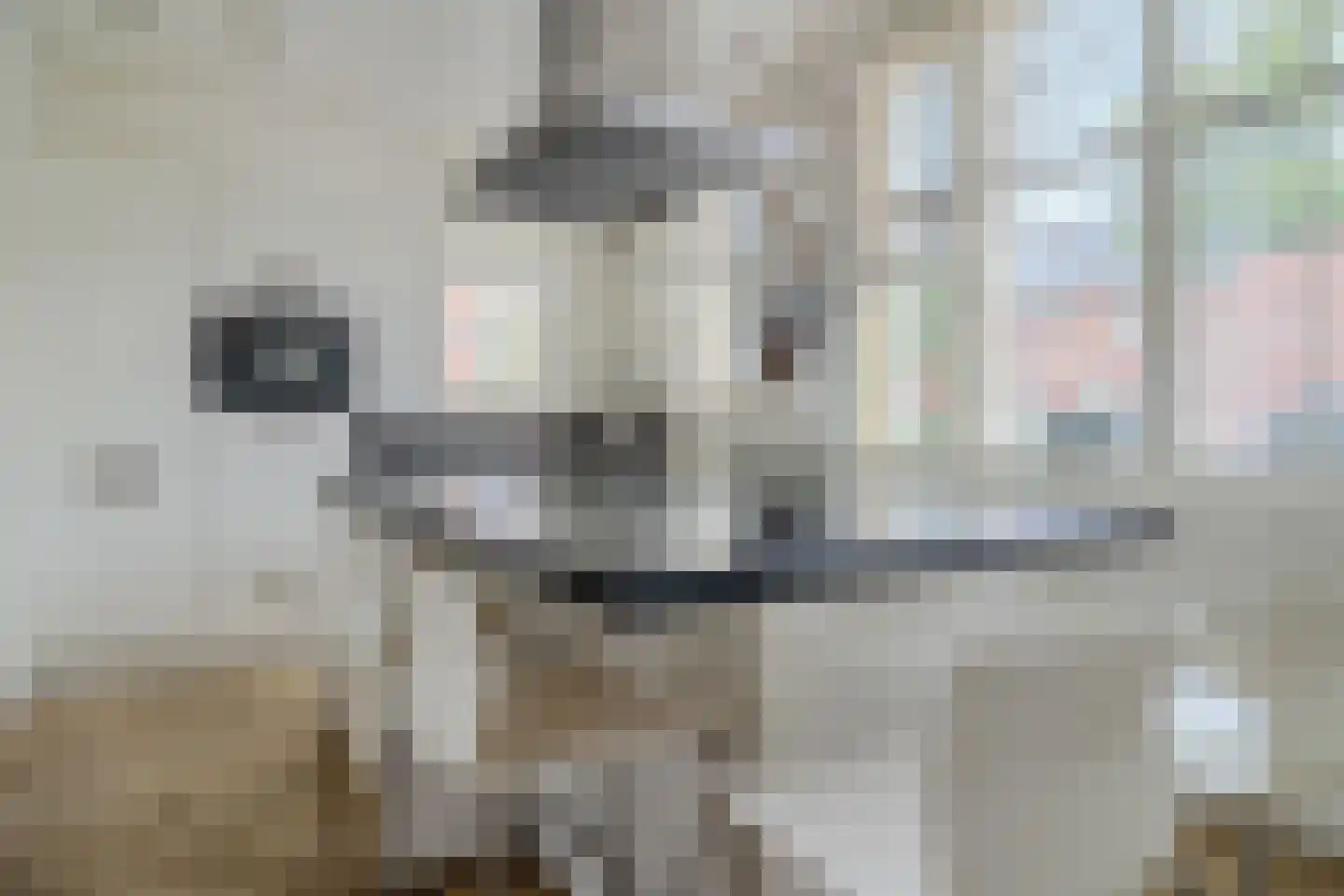 Witte Ring 33 Assendelft thumbnail 4