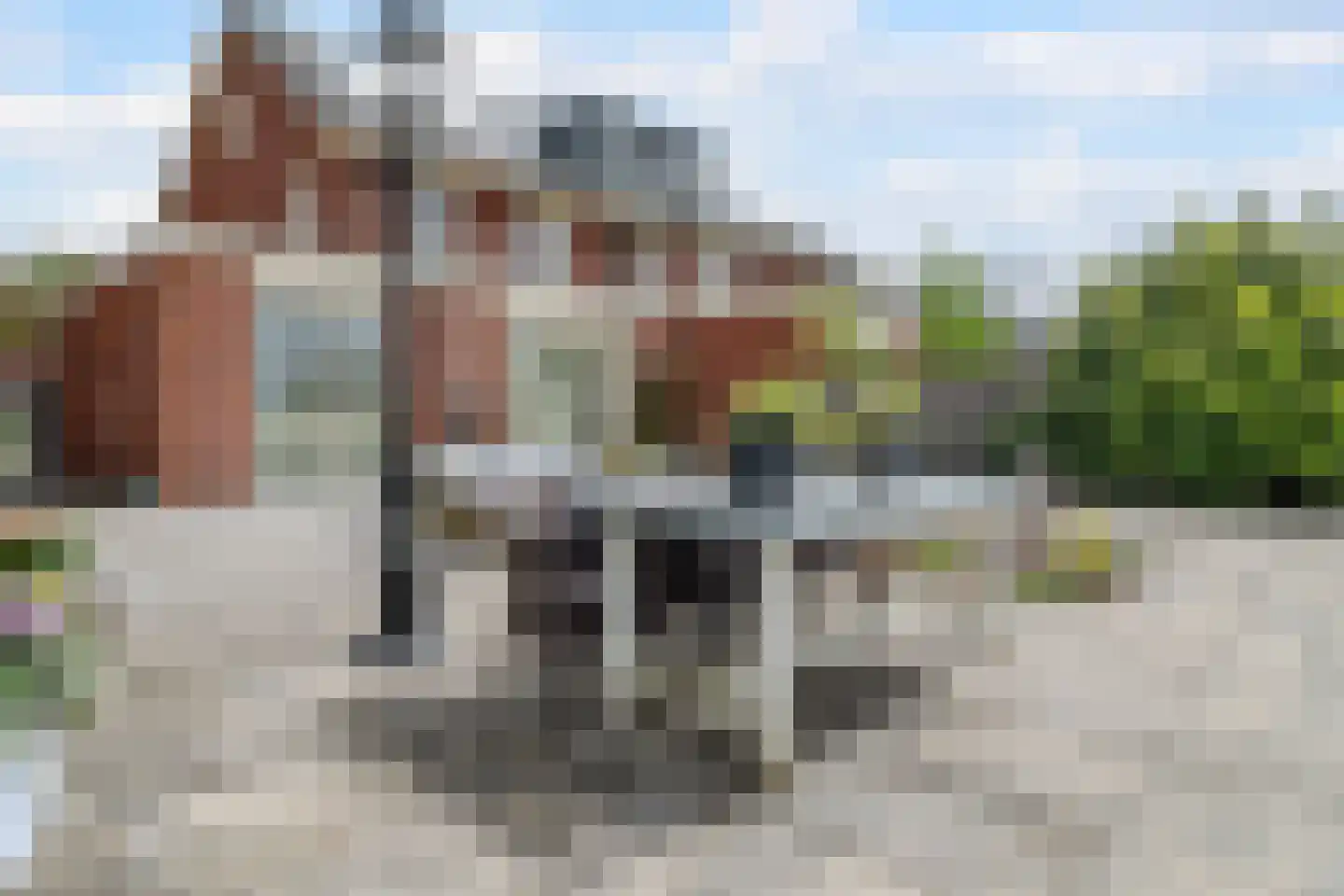 Witte Ring 33 Assendelft thumbnail 5