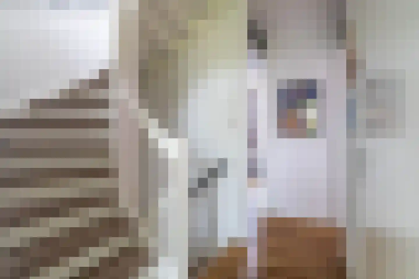 Witte Ring 38 Assendelft thumbnail 18
