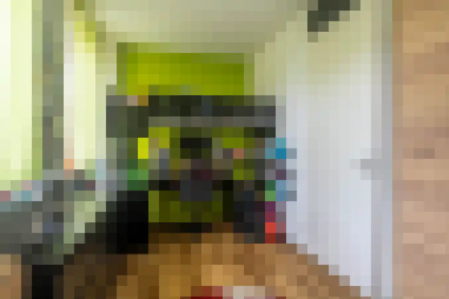 Witte Ring 38 Assendelft thumbnail 20